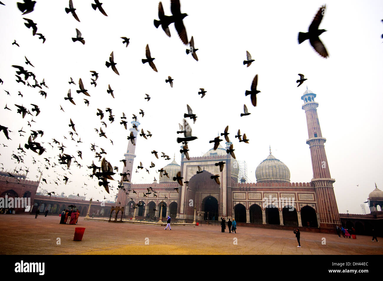 jama masjid delhi India asia Foto Stock