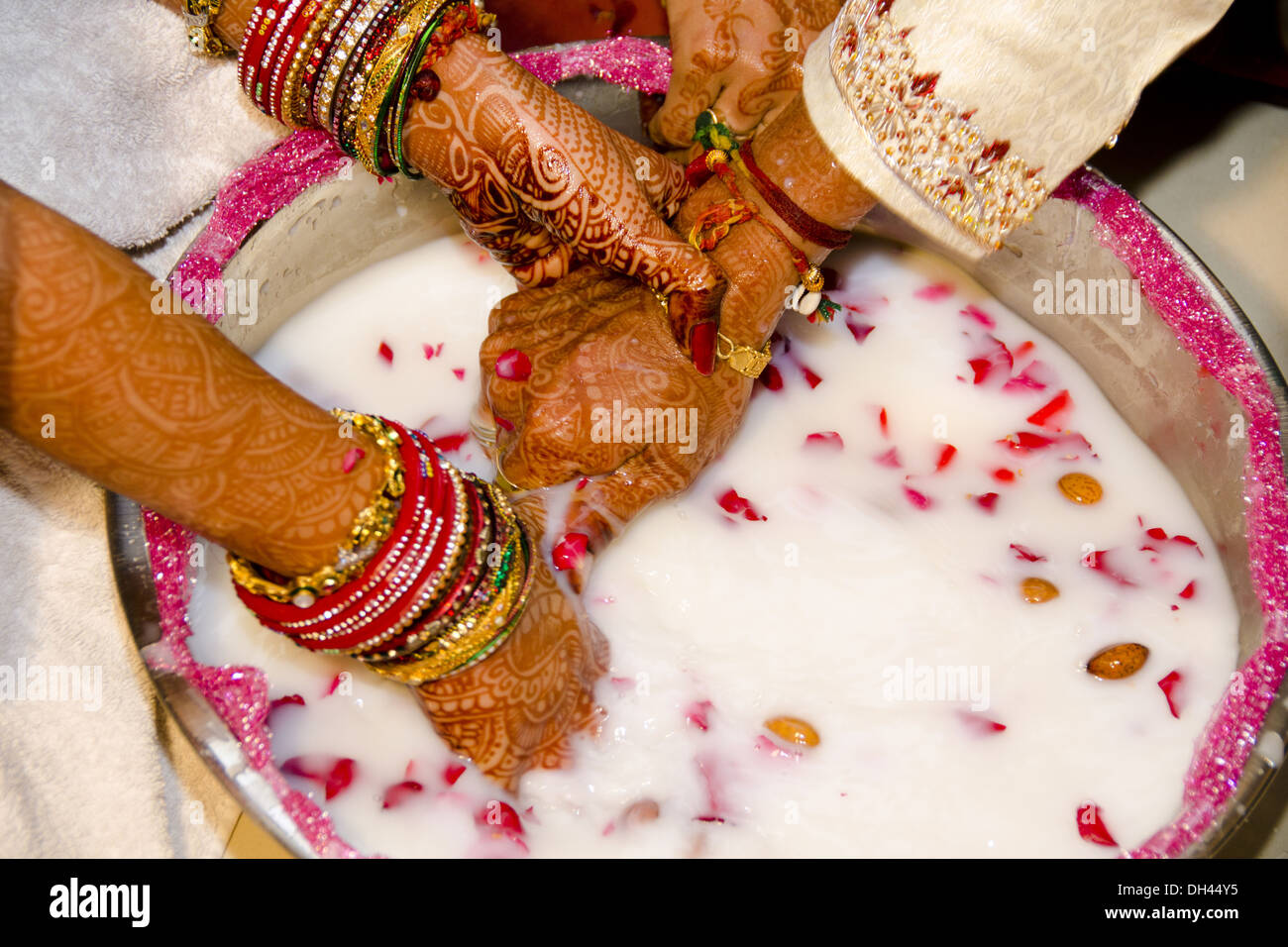 Indian cerimonia di matrimonio gli sposi alla ricerca di anello nella pentola piena di latte e petali di rosa Rajasthan in India Foto Stock