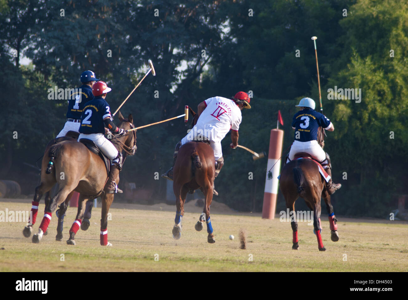 Polo cavallo , sport equestre , giocatori a cavallo su cavalli che colpiscono la palla , jodhpur , Rajasthan , India , asia Foto Stock