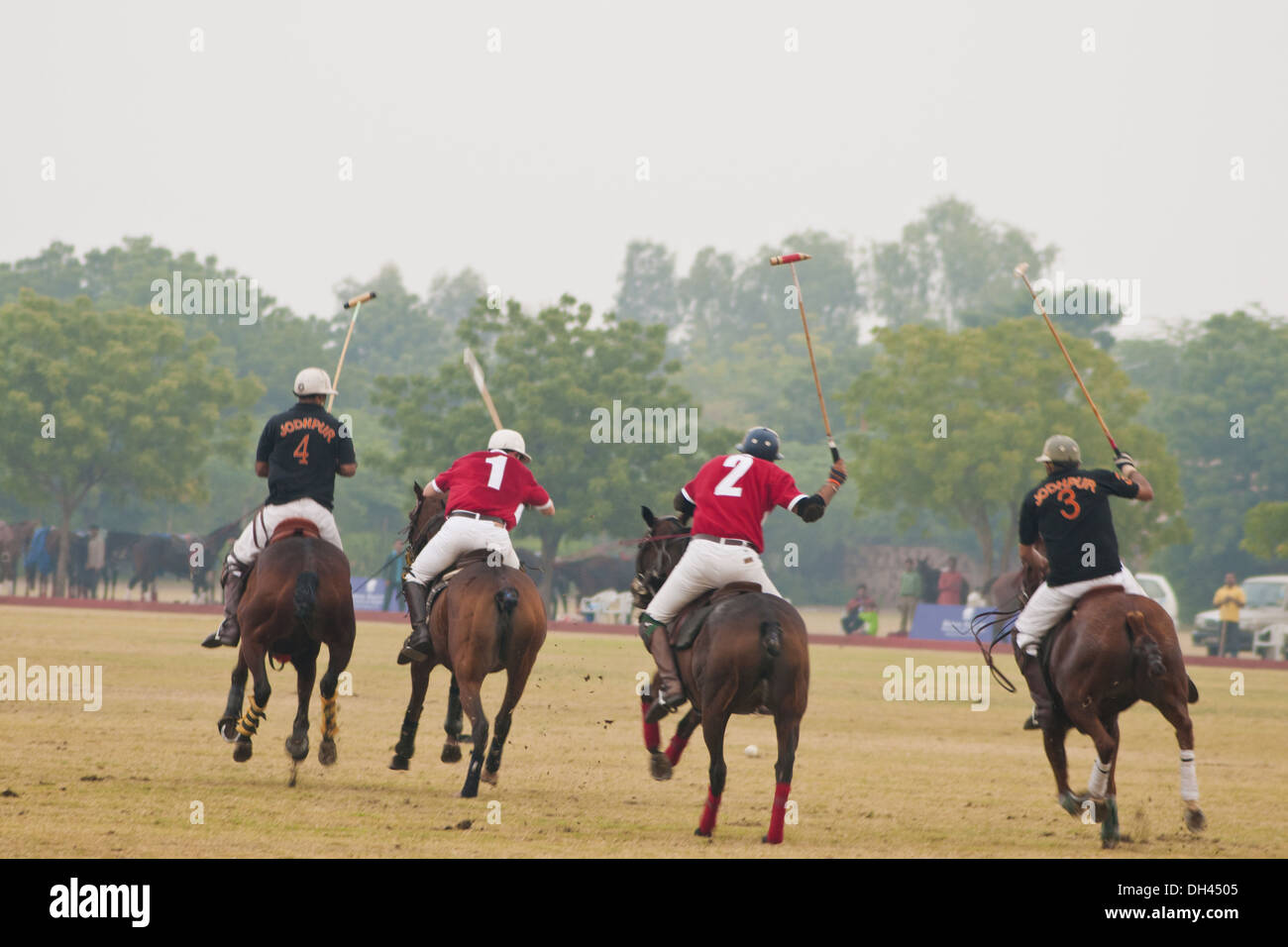 Polo cavallo , sport equestre , giocatori a cavallo su cavalli che colpiscono la palla , jodhpur , Rajasthan , India , asia Foto Stock