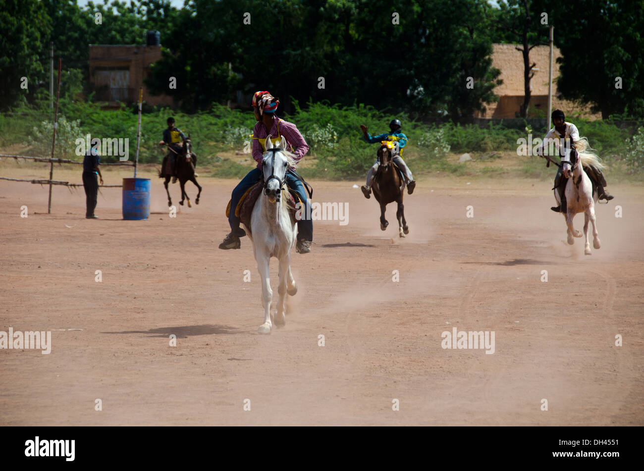 Cavallo di Razza in marwar festival a Jodhpur India Foto Stock