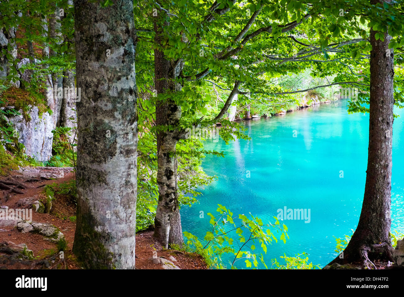 Blu acqua trasparente di Fusine Laghi di montagna, Friuli, Italia Foto Stock