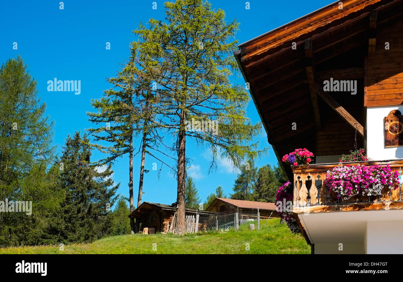 Casa di montagna in Val Gardena, Dolomiti, Italia Foto Stock
