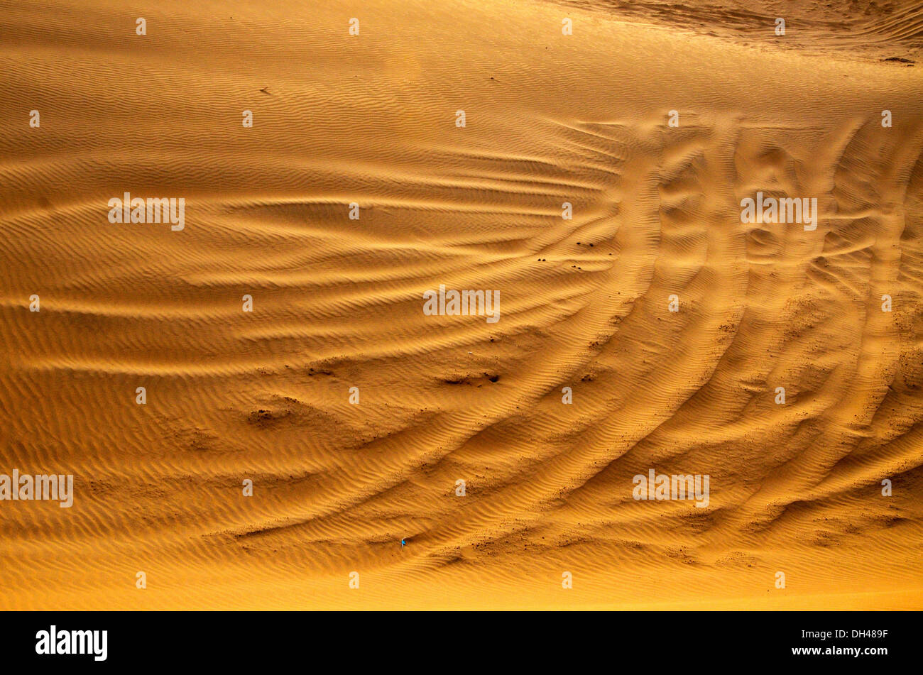 I marchi di pneumatici della jeep sulle dune di sabbia del deserto del Rajasthan India Asia Foto Stock