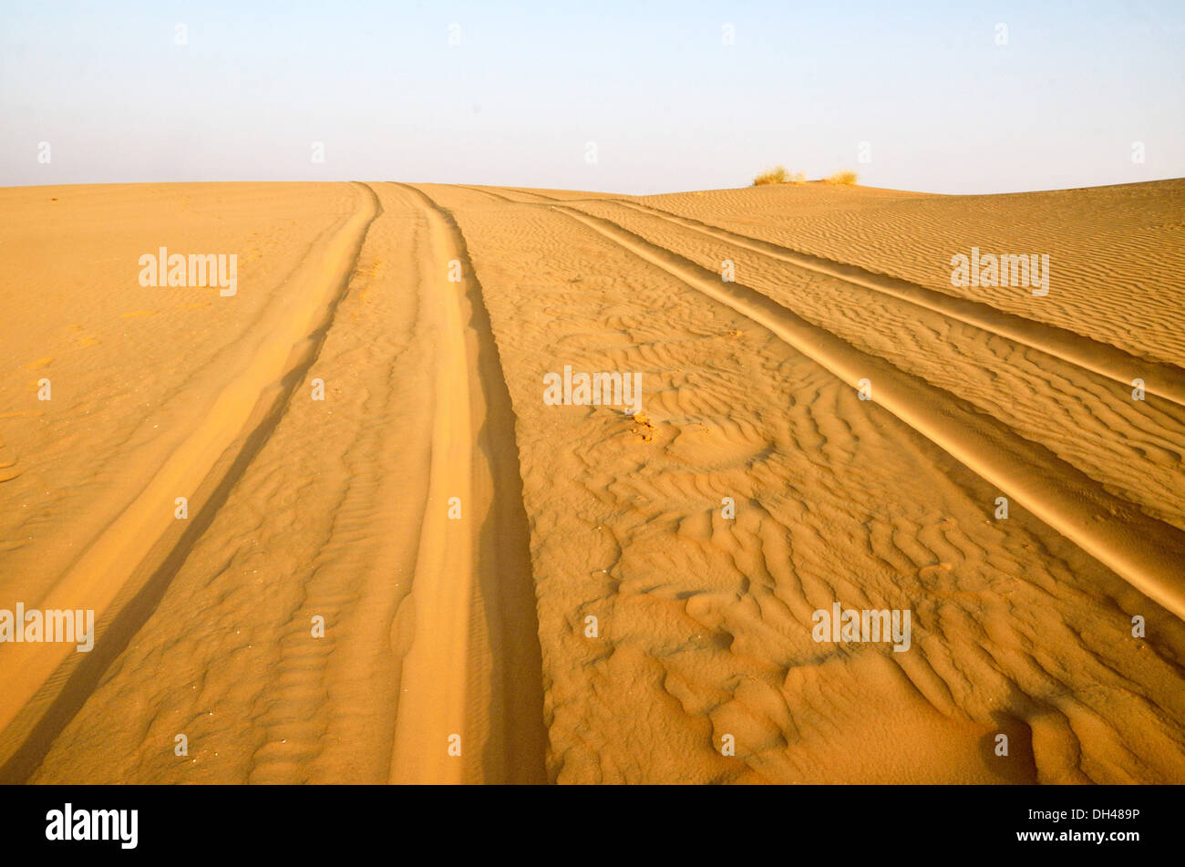 I marchi di pneumatici di deserto di sabbia del Rajasthan India Asia Foto Stock