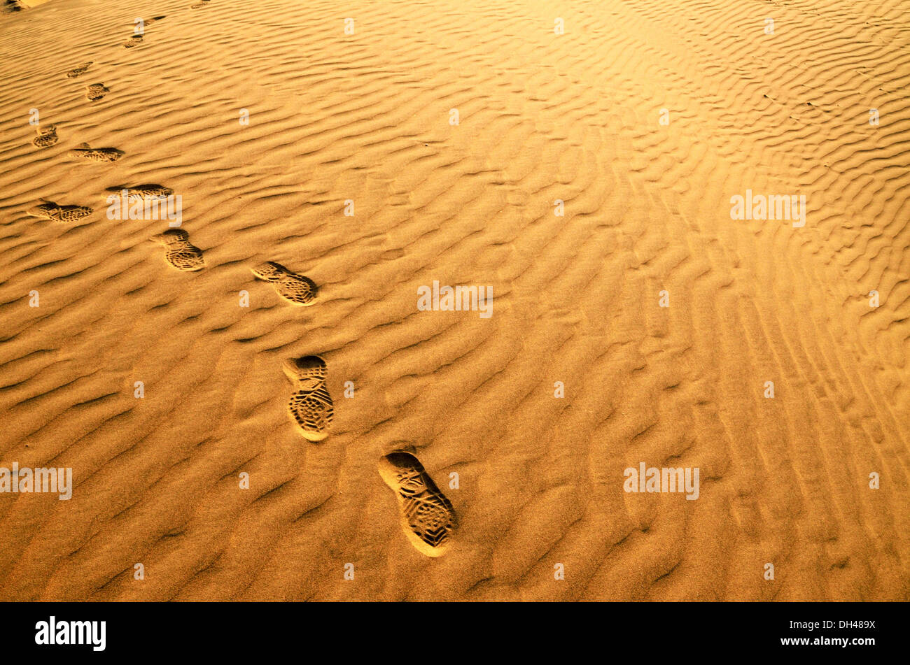 I marchi di piedi umani sulle dune di sabbia del deserto del Rajasthan India Asia Foto Stock