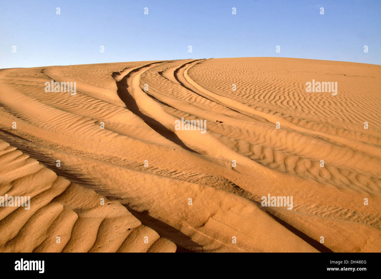 Tracce di pneumatici sulle dune di sabbia del deserto del Rajasthan India Asia Foto Stock
