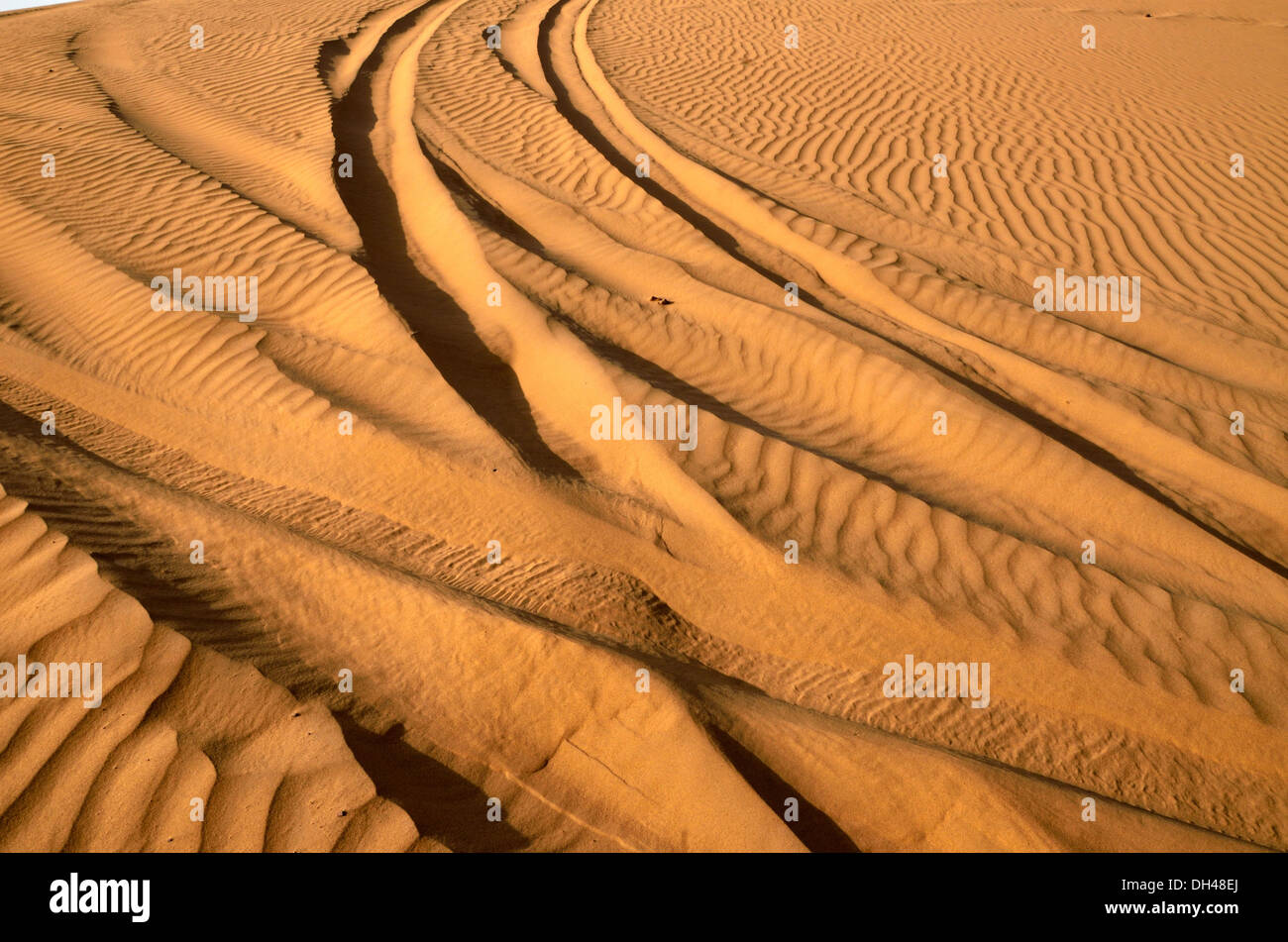 Tracce di pneumatici sulle dune di sabbia del deserto del Rajasthan India Asia Foto Stock