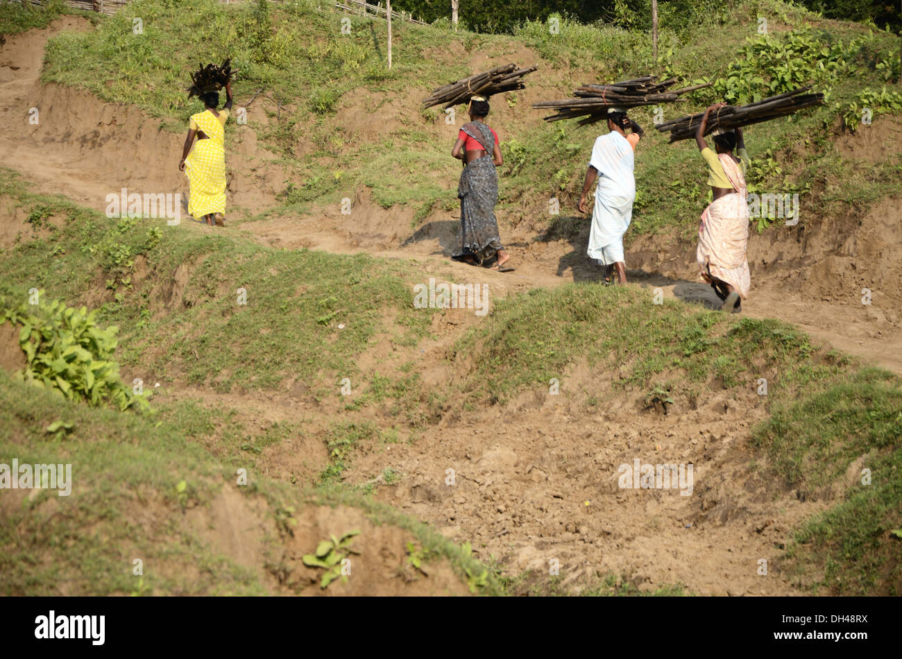 Donne che trasportano legna da ardere su teste a Papi Hills Rajahmundry Andhra Pradesh India Asia indiano asiatico Foto Stock