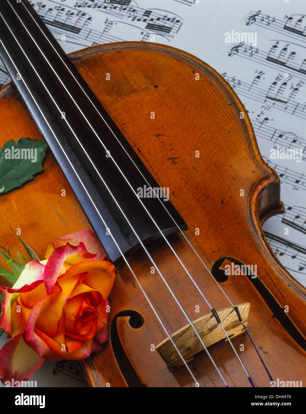 Il violino con foglio di musica e rose Foto Stock