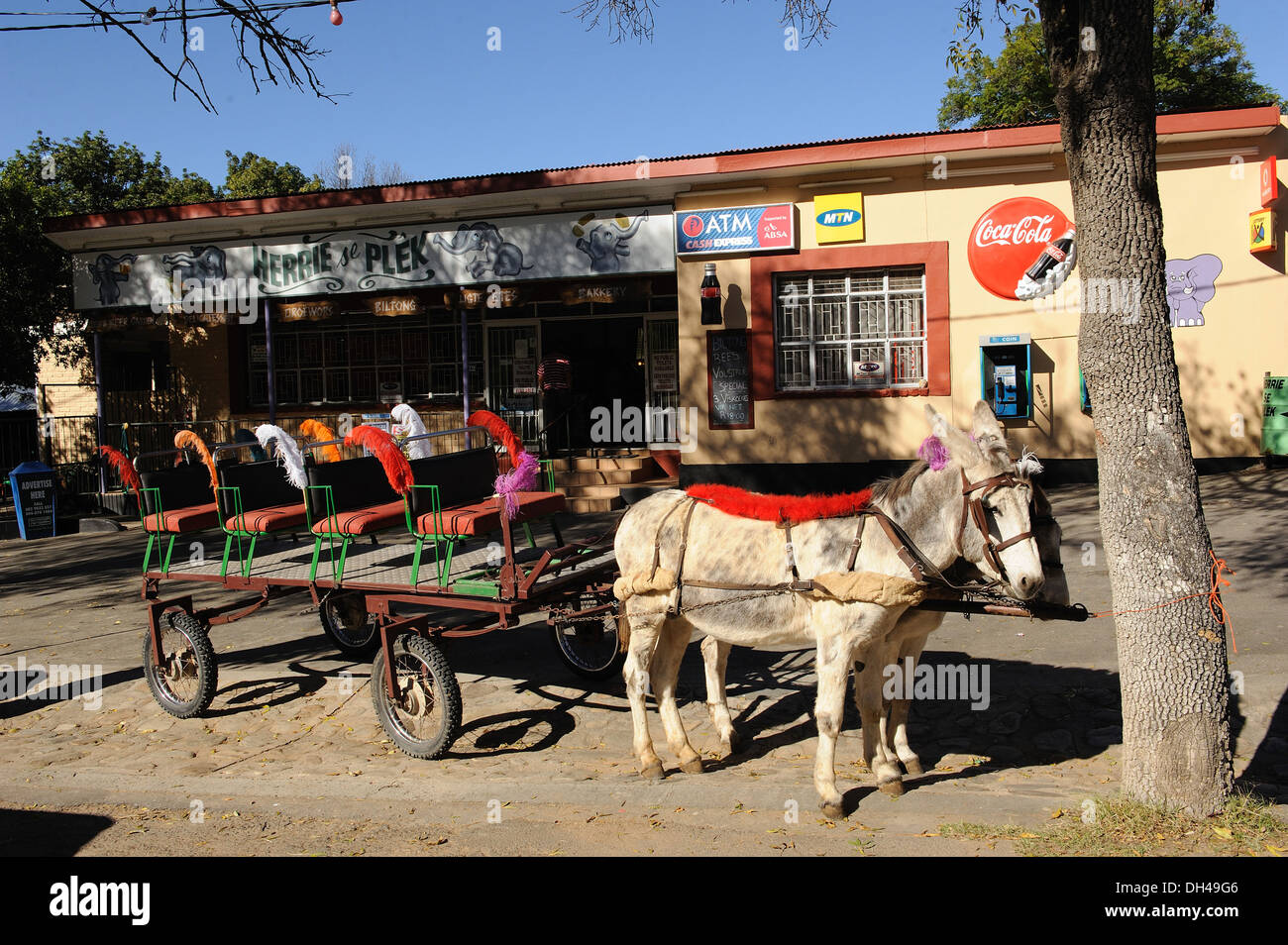 Svuota carrello asino sud africa Foto Stock