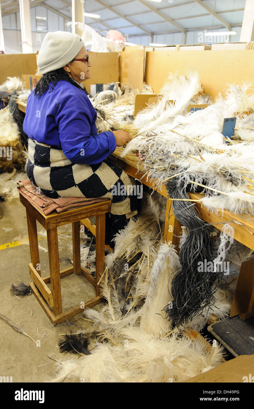 Donna che lavorano in piume di struzzo factory Sud Africa Foto Stock