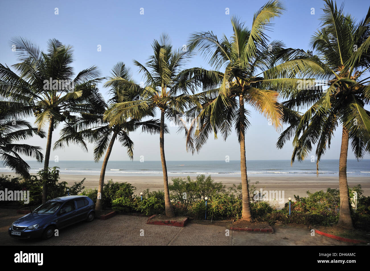 Seascape con palme karde ratnagiri Maharashtra India Asia Foto Stock