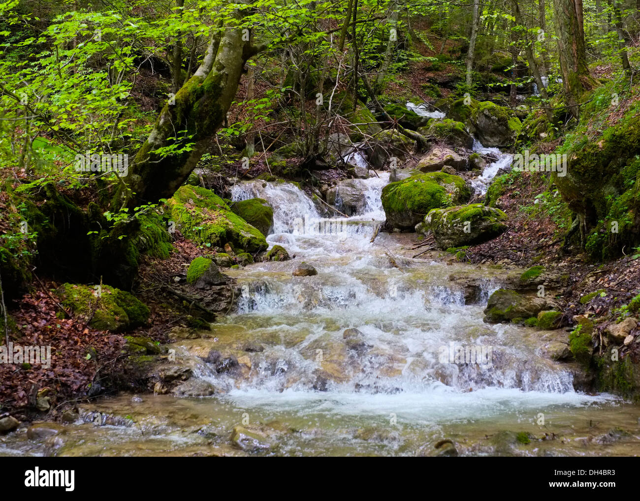 Ruscello di montagna, Arco, Trento, Italia Foto Stock