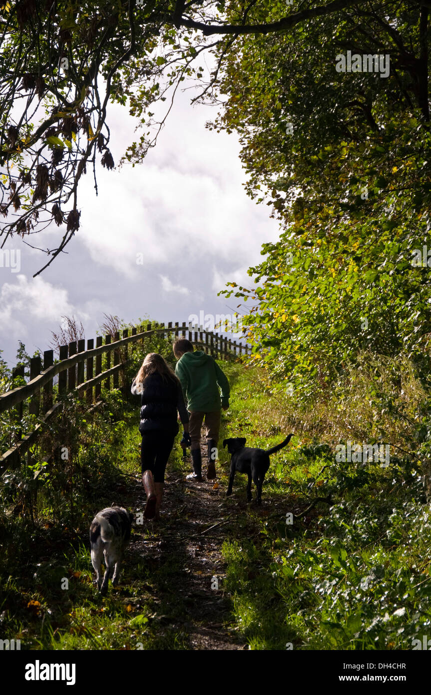 Bambini i cani a piedi su un sentiero pubblico al Bailbrook Batheaston Somerset England Regno Unito Foto Stock