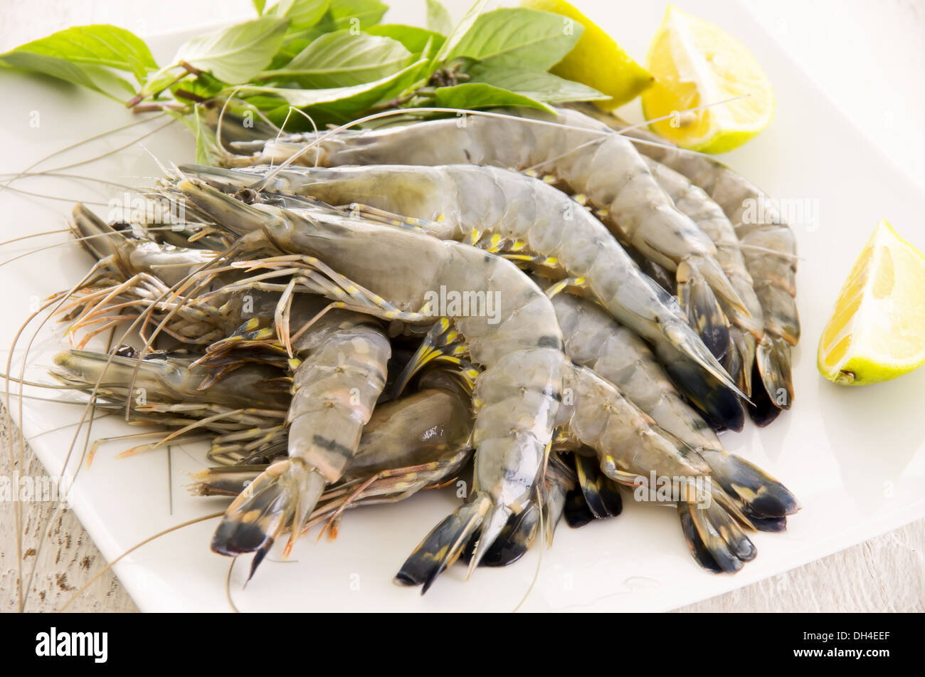 Gamberetti freschi Foto Stock