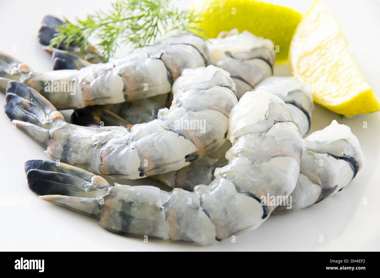 Nero gamberoni tigre Foto Stock