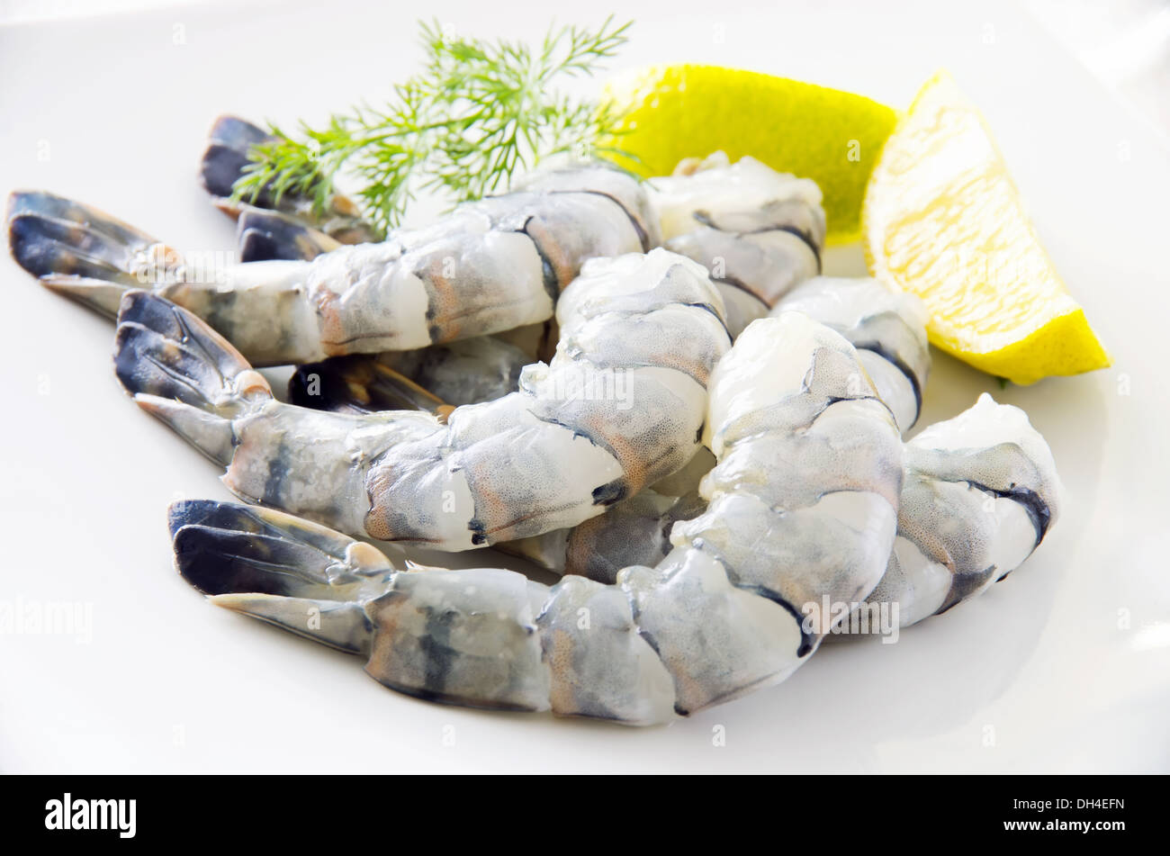 gamberoni Foto Stock