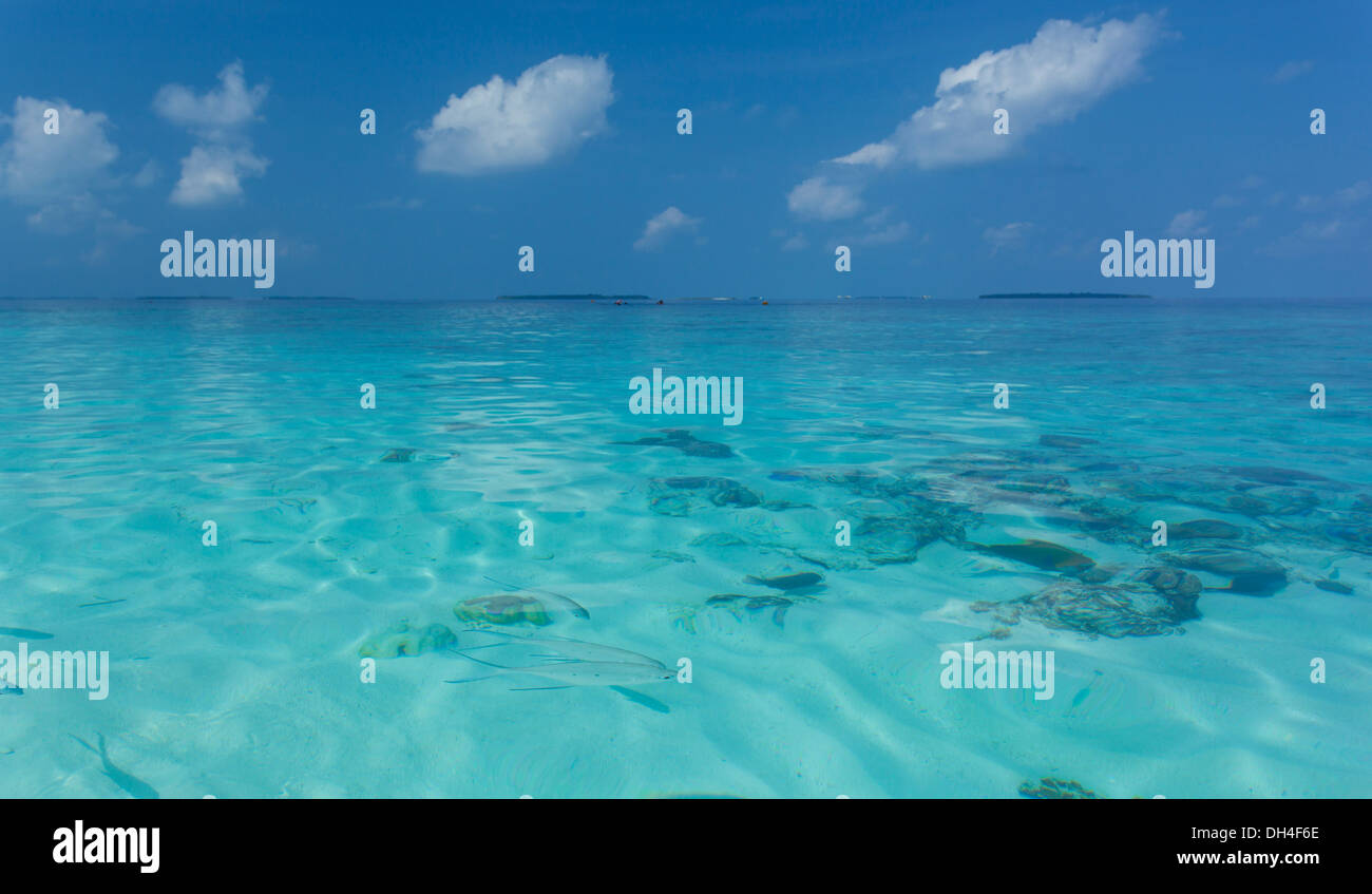 Mare cristallino delle Maldive Foto Stock