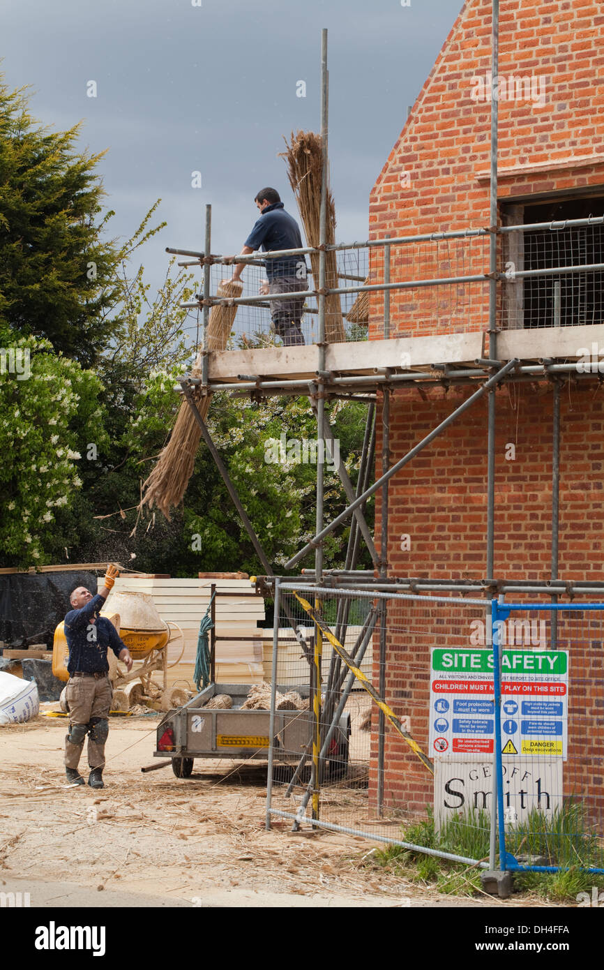 Casa di nuova costruzione. Norfolk Reed (Phragmites Sp. ) Essendo generata fino a thatcher per la copertura del tetto. Stalham, Norfolk. In Inghilterra. Foto Stock