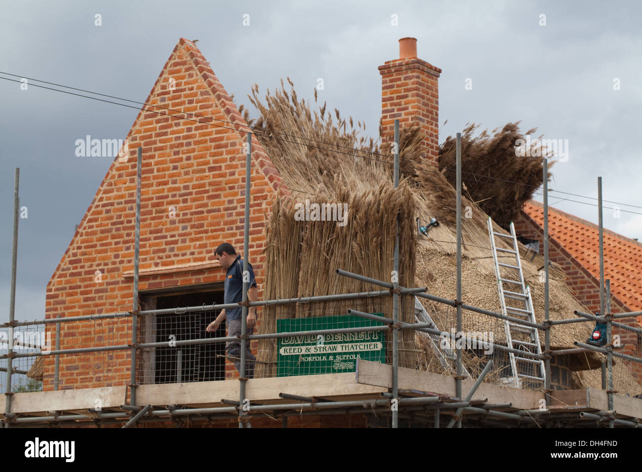 Casa di nuova costruzione. Norfolk Reed (Phragmites sp.) essendo assemblati da artigiano thatcher per la copertura del tetto. Stalham, Norfolk. Foto Stock
