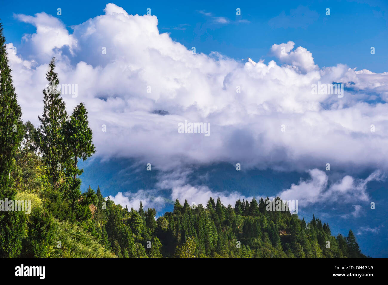 Il picco di una montagna himalayana appare brevemente sopra le nuvole vicino a Bomdila in western Arunachal Pradesh, India. Foto Stock