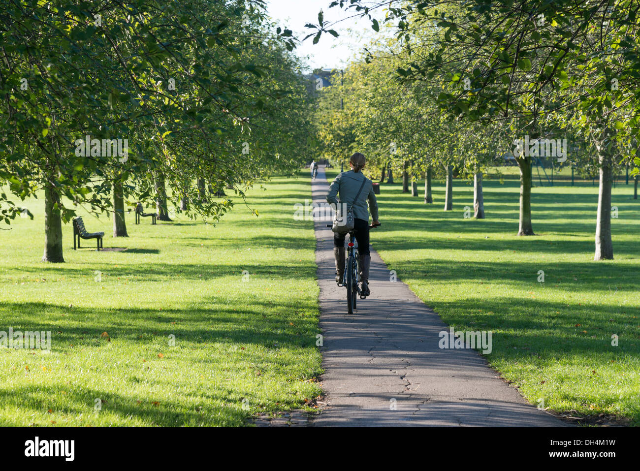 Una donna di cicli lungo un percorso attraverso Gesù Green Cambridge Regno Unito tra una linea di alberi. Foto Stock