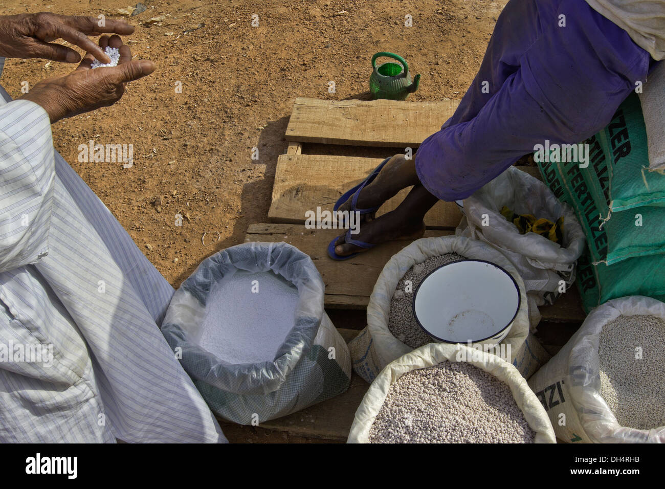Il mercato Dawanau, Kano, Nigeria. Foto Stock