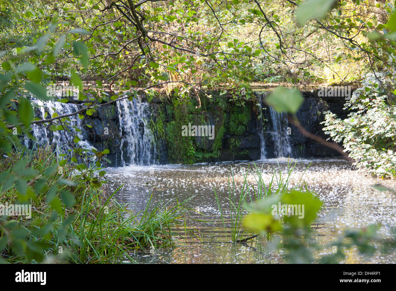 Cascata a Calke Abbey DERBYSHIRE REGNO UNITO Foto Stock