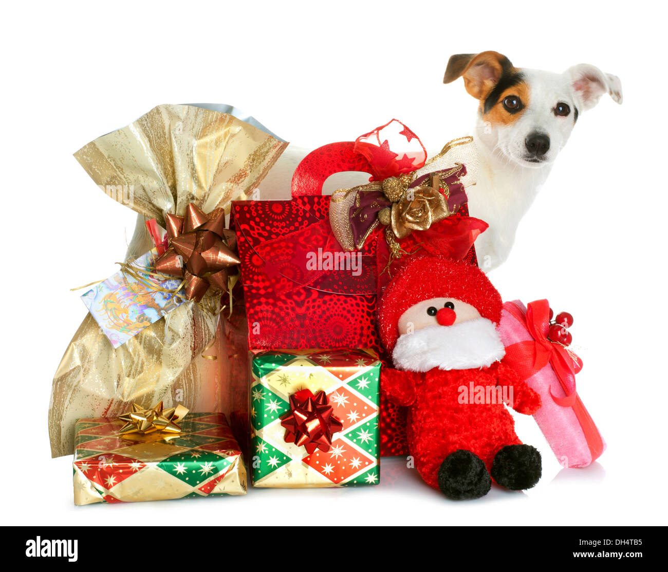 Holiday Scatole dono decorate confezioni regalo con simpatico cagnolino isolati su sfondo bianco. Foto Stock