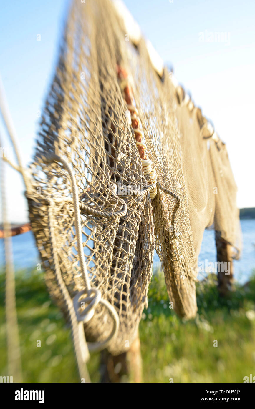 Le reti da pesca al porto storico di Maasholm, Schleswig-Holstein Foto Stock