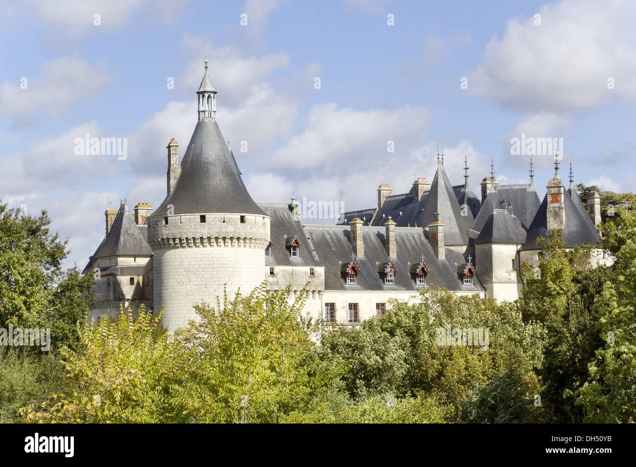 Castello nella foresta Foto Stock