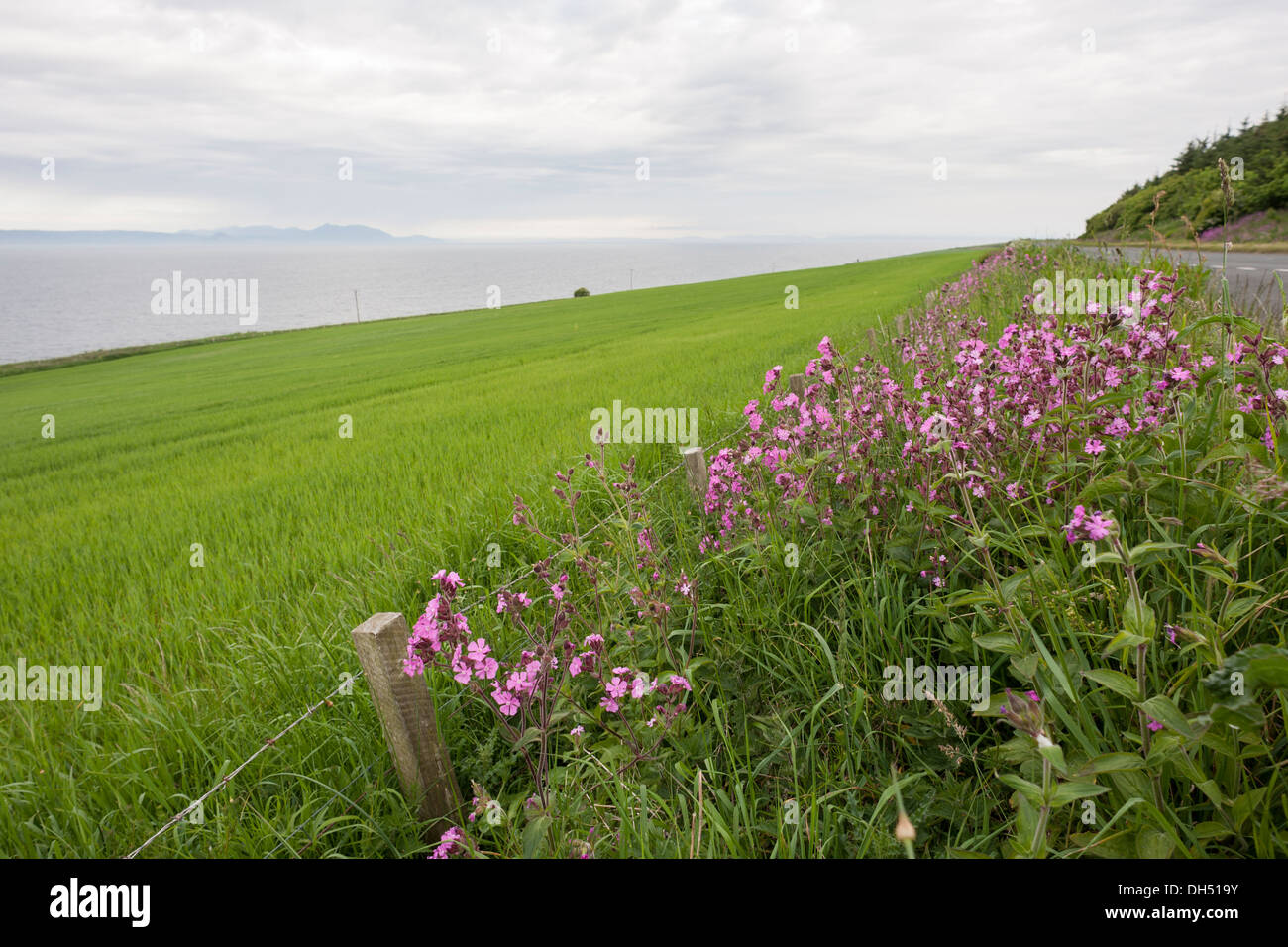Superfici agricole costiere-Argyll Foto Stock