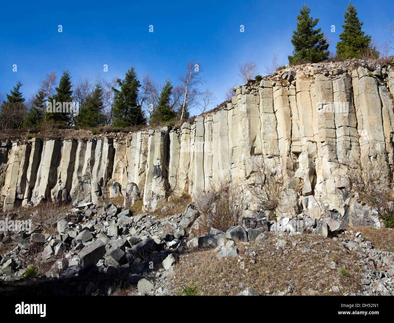 Vecchia cava di basalto nei Monti metalliferi, Repubblica Ceca Foto Stock