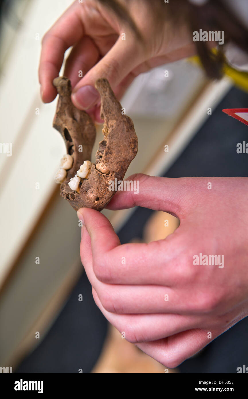 Gli studenti imparano a conoscere l'identificazione di ossa comprese le modalità per identificare la provenienza di un cranio dalla ganascia rimane durante un Forensic Foto Stock