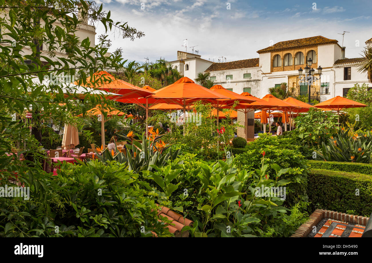 ORANGE OMBRELLONI IN PIAZZA ORANGE centro di marbella CITTÀ VECCHIA ANDALUCIA SPAGNA Foto Stock