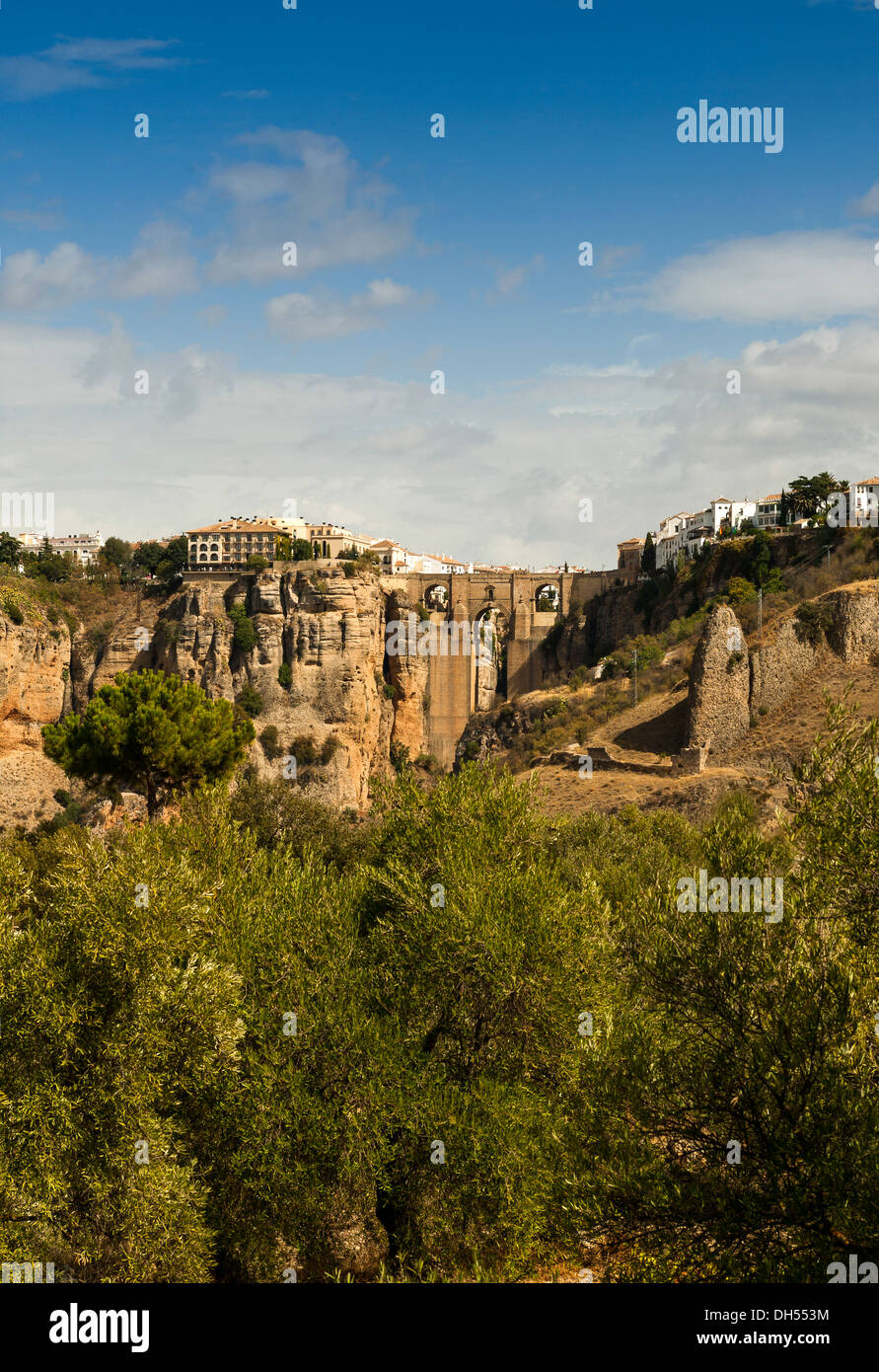 PUENTE NUEVO ponte sopra il EL TAJO GORGE nel centro di Ronda con alberi Andalusia Spagna Foto Stock