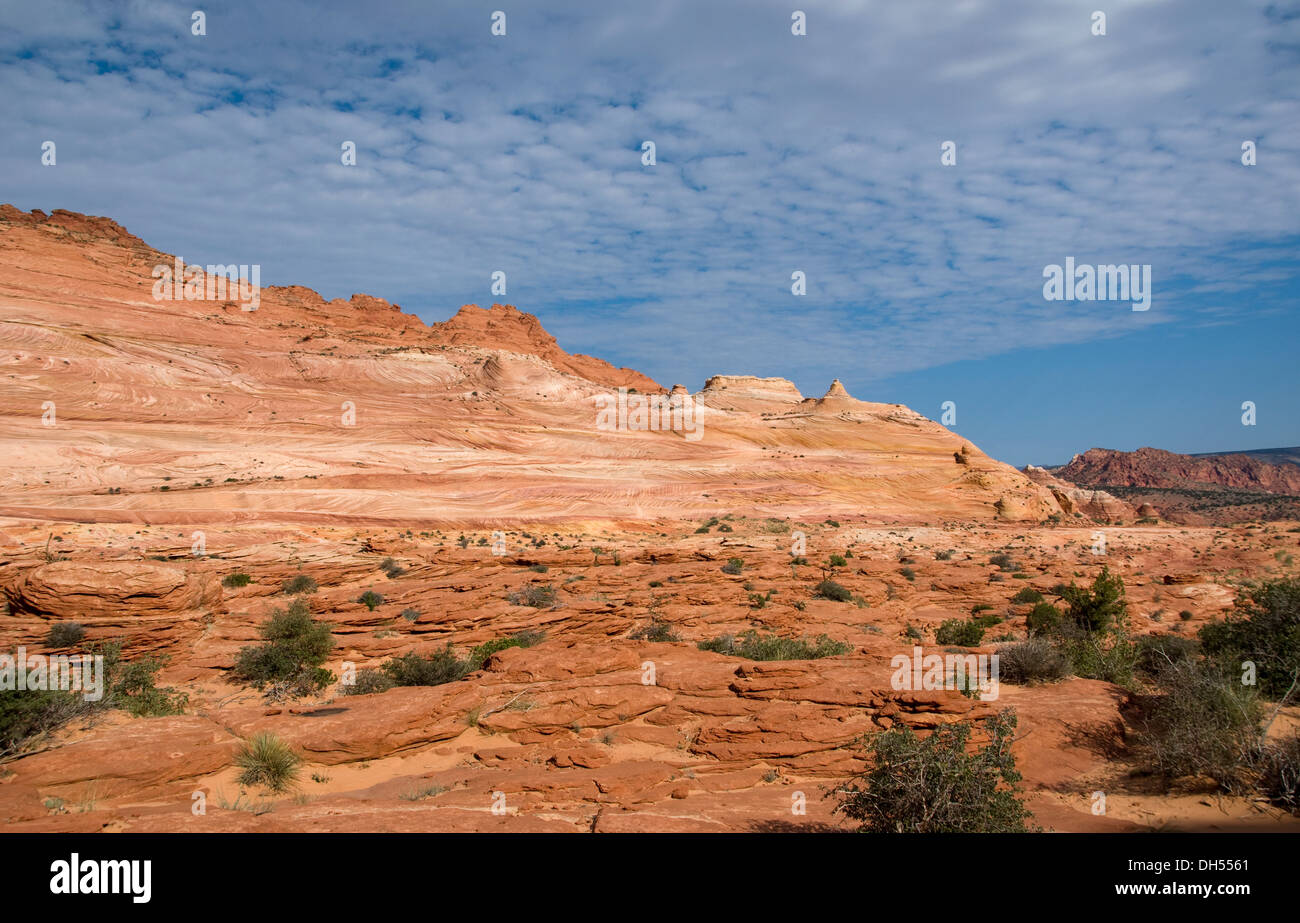 Coyote Buttes North ,sud-ovest americano Foto Stock