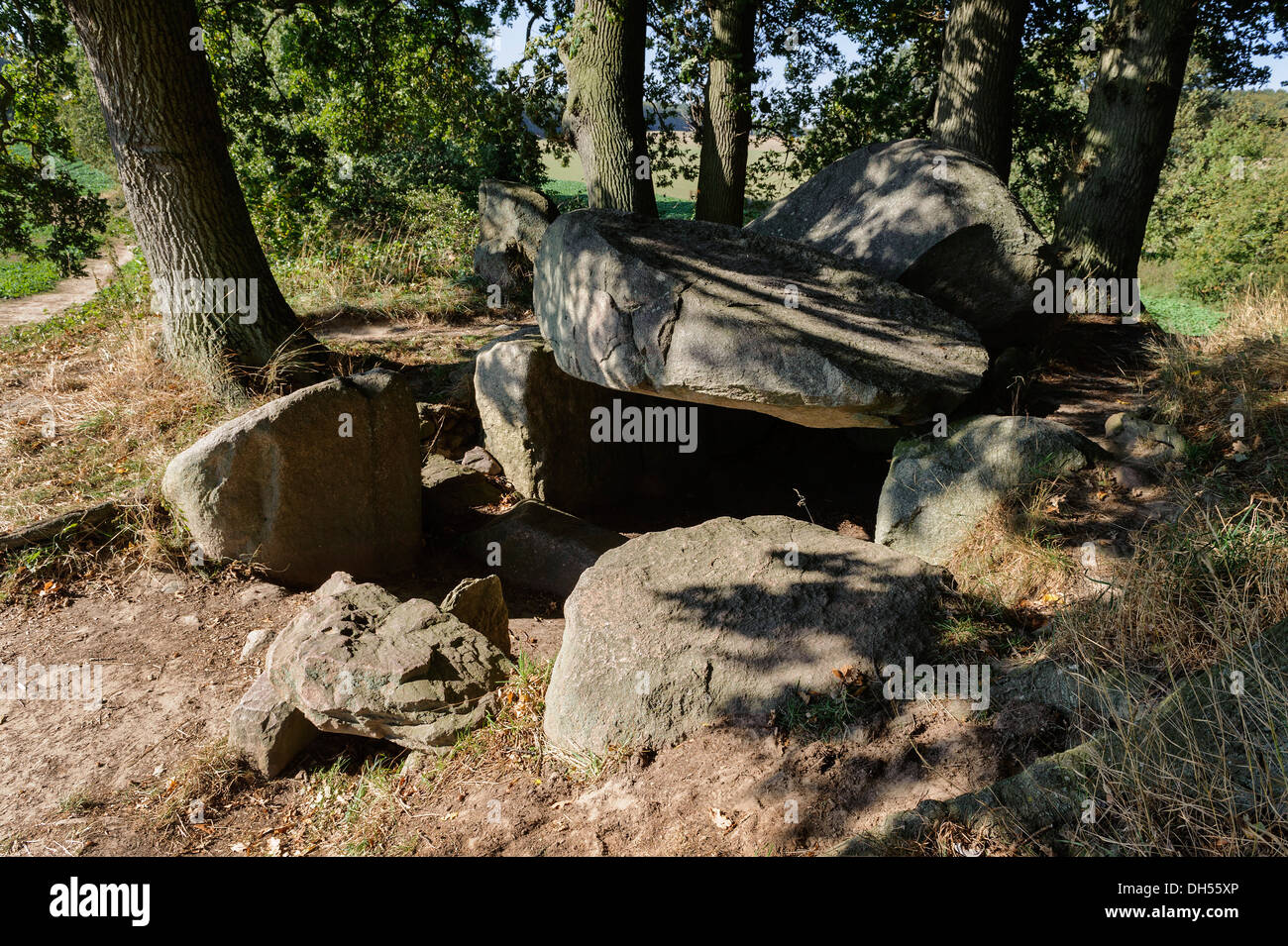 Dolmen neolitico nella tomba megalitica di Lancken-Granitz, Isola di Rugia (Ruegen) Mecklenburg-Hither Pomerania Occidentale, Germania Foto Stock