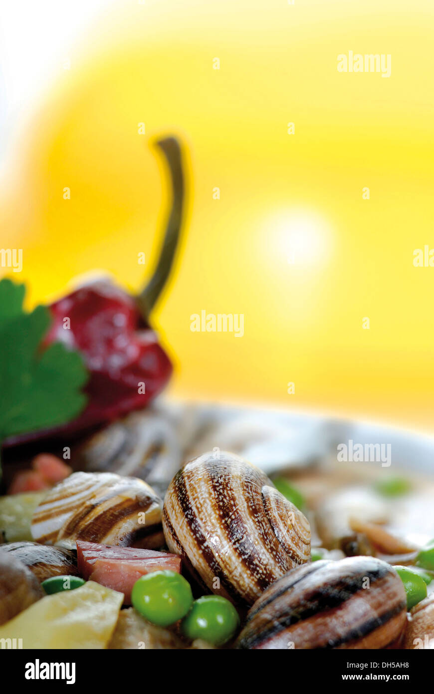 Escargots con suini' piedi Foto Stock