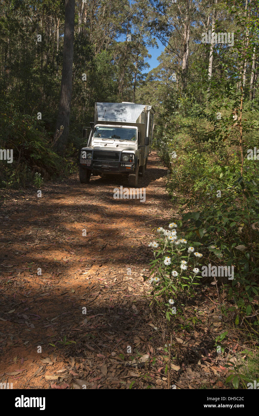 4RM / caravan casa mobile la guida lungo la via sassosa attraverso lussureggianti foreste di Nowendoc Parco Nazionale in NSW Australia Foto Stock