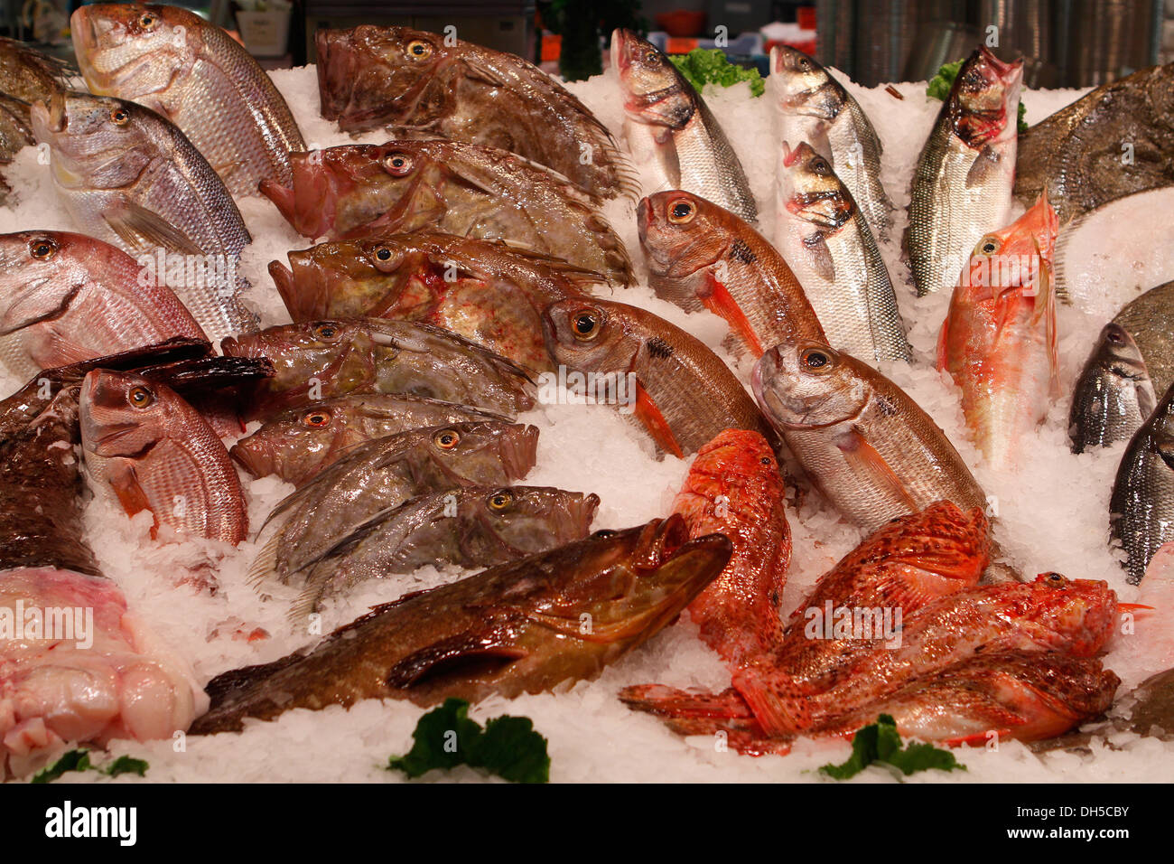 Visto il pesce su un mercato locale nell'isola di Maiorca, SPAGNA Foto Stock