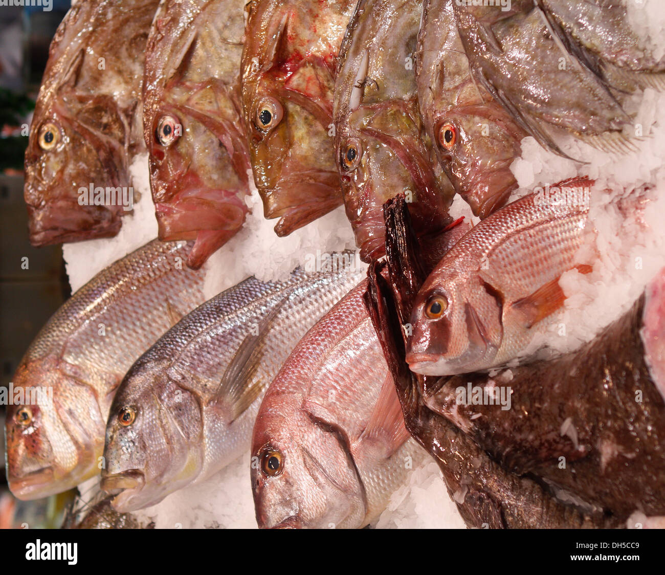 Visto il pesce su un mercato locale nell'isola di Maiorca, SPAGNA Foto Stock