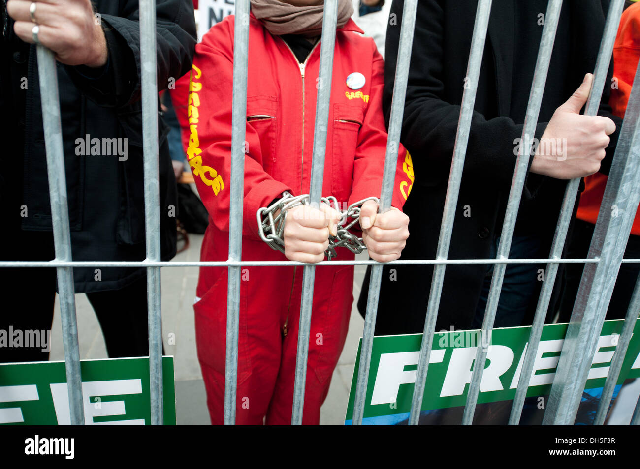 Parigi, Francia. 31 ott 2013. Romain Carre, 31/10/2013, Parigi, Francia. Come alcuni dei loro membri è stato arrestato in Russia in attesa per la loro prova, Greenpeace France organizzata con 30 organizzazioni una dimostrazione a sostegno dei loro attivisti e denunciate la decisione russa di fare una prova per piratery. Credito: Romain Carre/NurPhoto/ZUMAPRESS.com/Alamy Live News Foto Stock