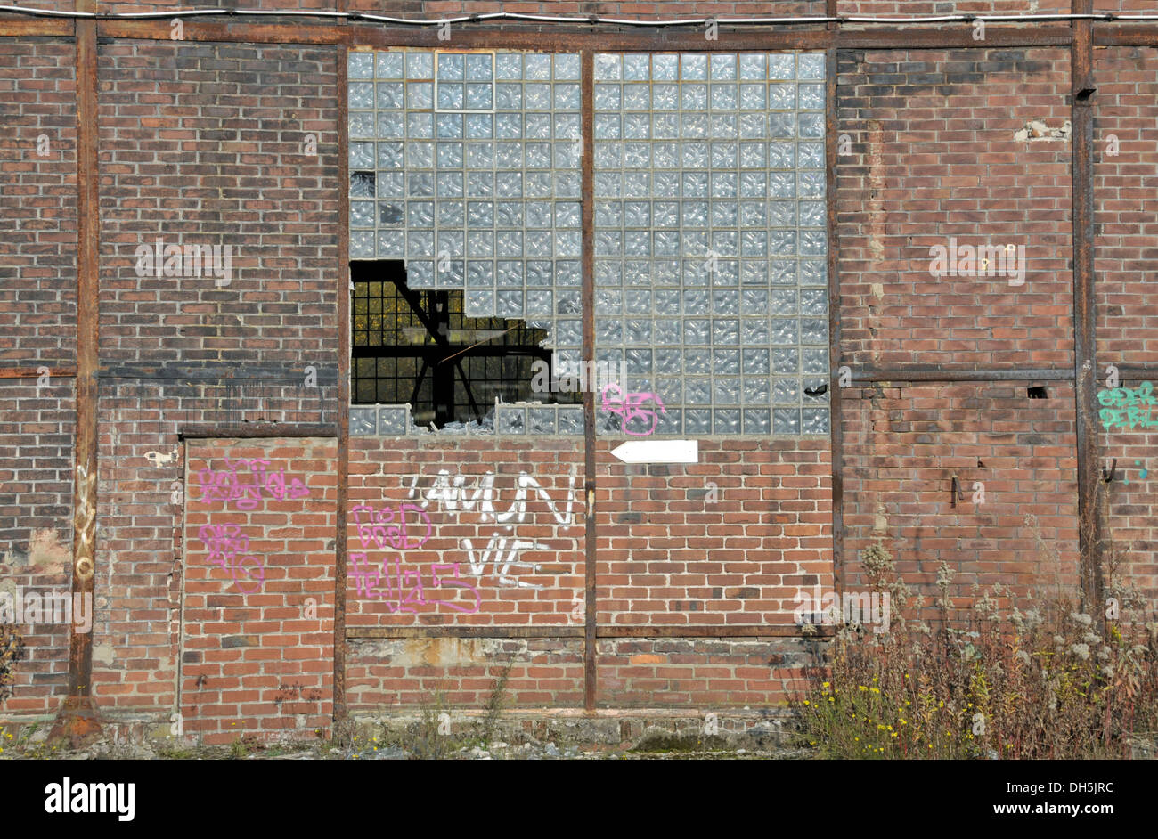 Costruzione di linee ferroviarie, abbandonato cantiere di smistamento in Duisburg Wedau, una devastazione industriale nella zona della Ruhr, Renania settentrionale-Vestfalia Foto Stock
