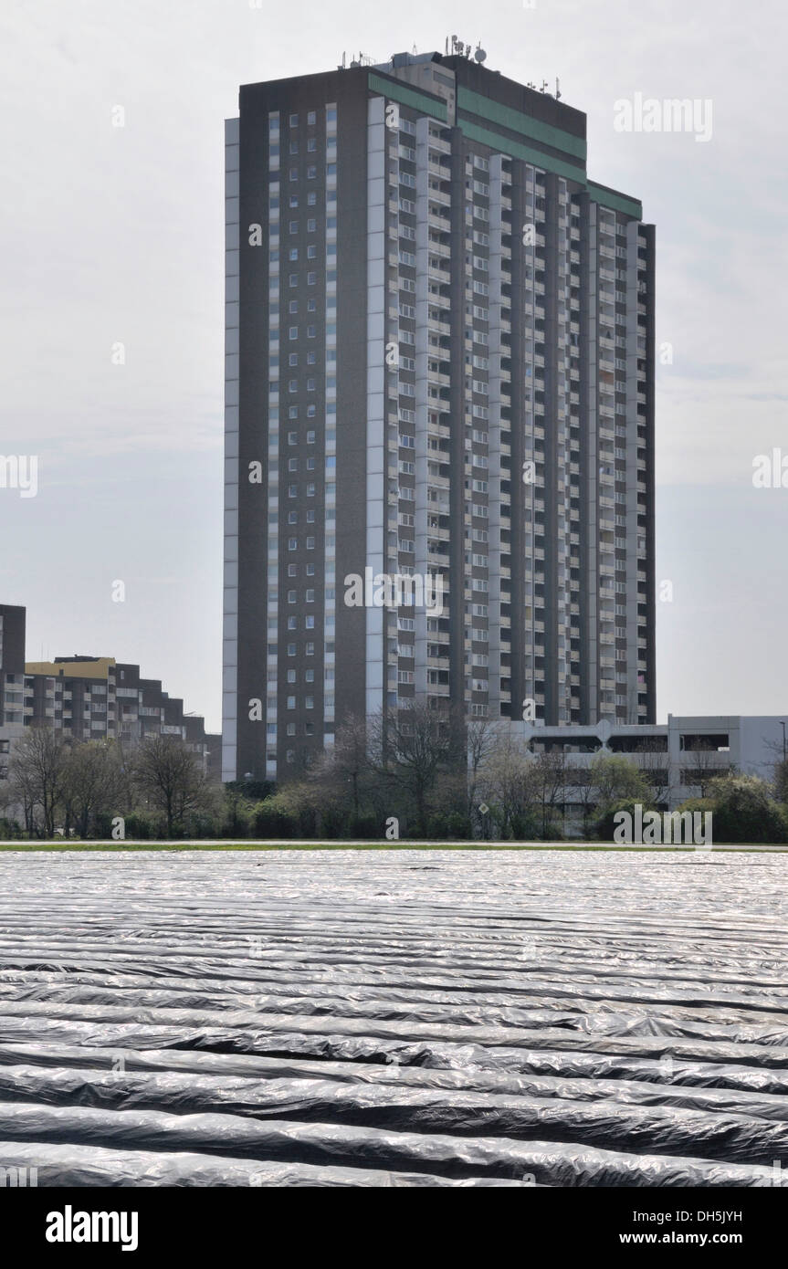 Asparagi coperto campo nella parte anteriore dell'edificio KoelnBerg, Cologne-Meschenich, Renania settentrionale-Vestfalia Foto Stock