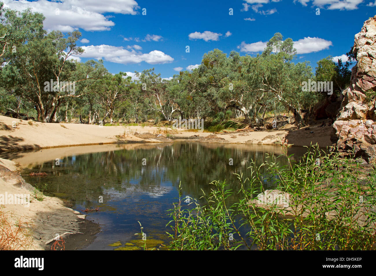 Il pittoresco entroterra paesaggio / blu piscina di acqua e oasi a Ormiston Gorge nella Catena Montuosa di West MacDonnell vicino a Alice Springs NT Foto Stock