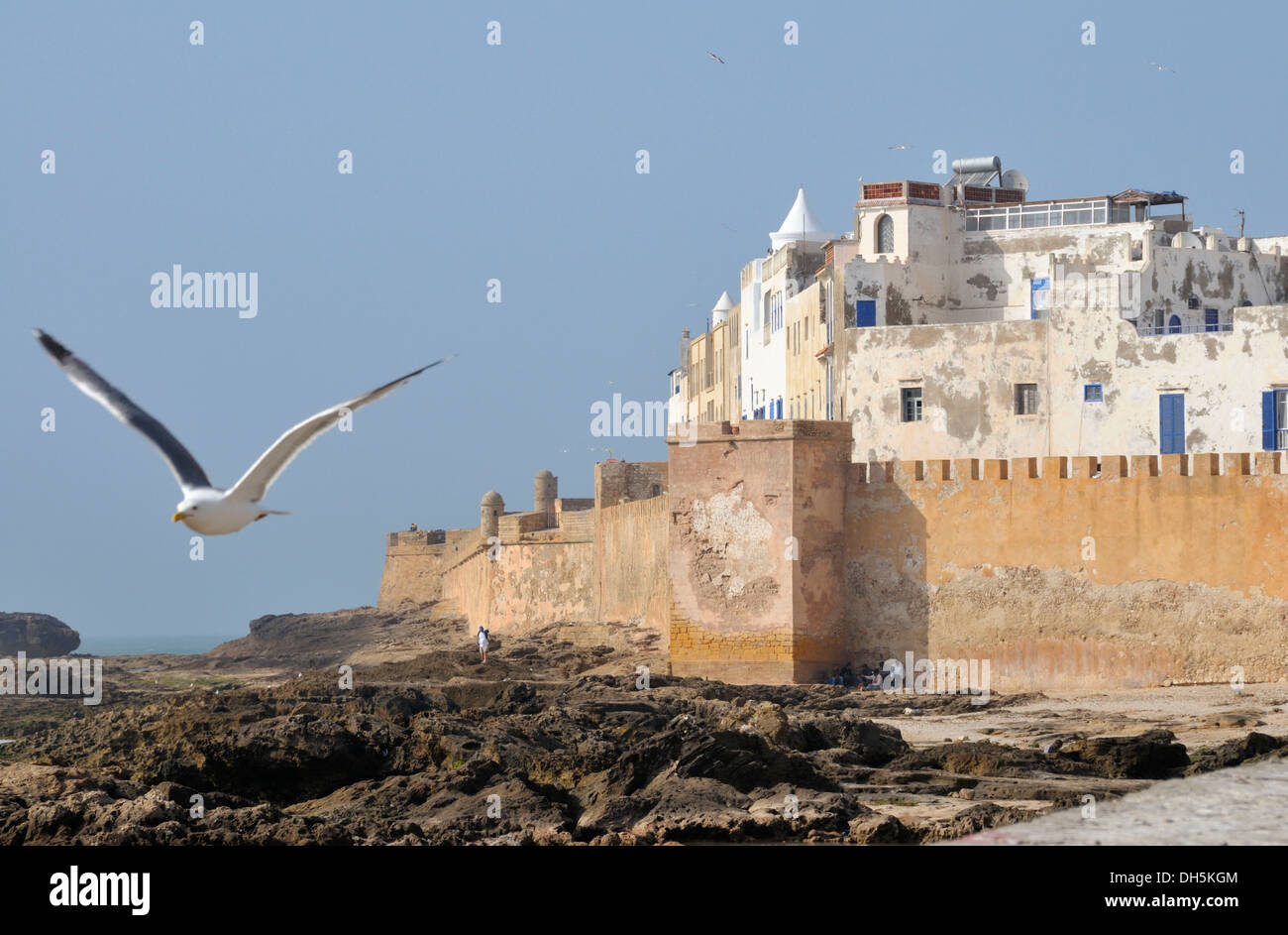 Sqala de la Kasbah, Malecon di vecchia città di Essaouira Mogador, Sito Patrimonio Mondiale dell'UNESCO, Marocco, Africa Foto Stock