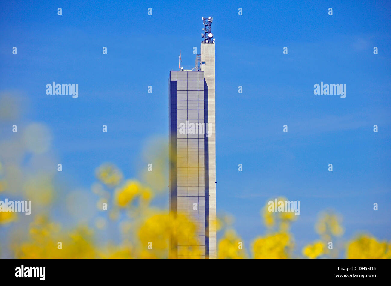 Il Schapfenmuehle, il grado più alto di silo di grano in tutto il mondo, con un impianto fotovoltaico sulla facciata, Jungingen, Ulm Foto Stock