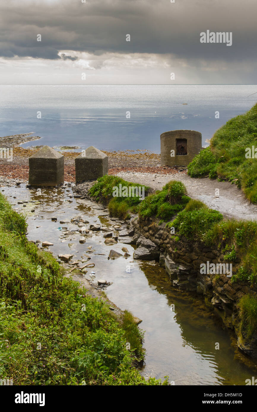 Kimmeridge Bay, Dorset, Inghilterra, Regno Unito. Le alghe coperto le rocce in primo piano. Foto Stock